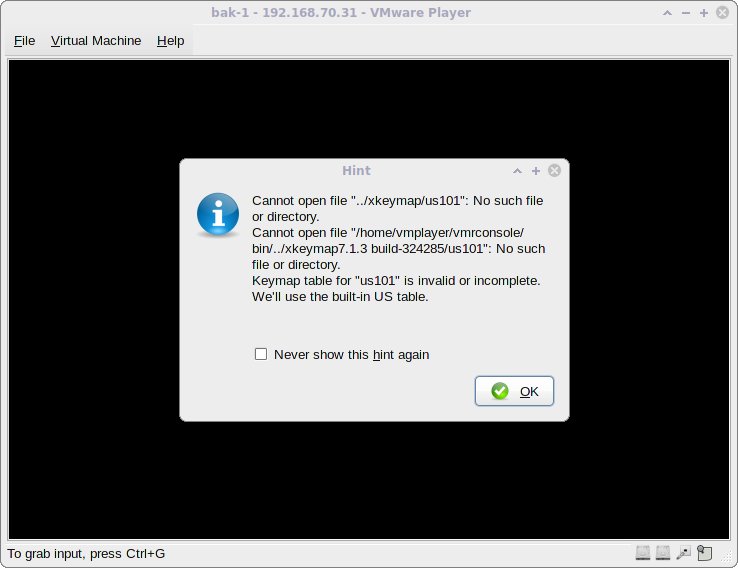 VMware Player: hints messages